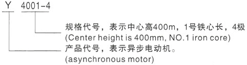 西安泰富西玛Y系列(H355-1000)高压YR500-8C-200KW三相异步电机型号说明